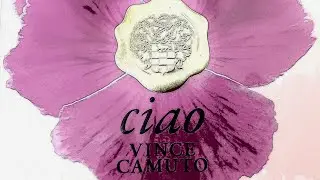 🌺VINCE CAMUTO  CIAO🌺 //обзор аромата