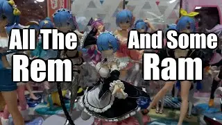 All the Rem and Ram I Got in 2020