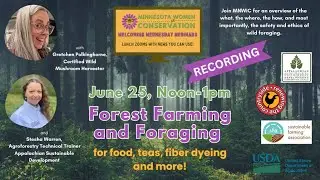 Minnesota Women in Conservation Webinar: Forest Farming and Foraging, June 25, 2025