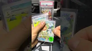 Pokemon Pick-Ups 6 #tcg