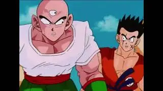 TFS - Tien and Yamcha