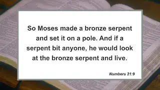 Morning Worship: Sermon 