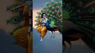 kanha ji bansuri Baja rahe hain Mayur bahut khush hai#radhakrishna #radheradhe #radharani