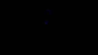 MOV01661