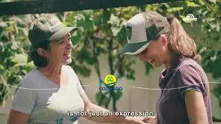 Aurora Coop | English Institutional