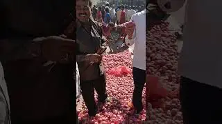 TODAY NEW ONION FOR 50KG 1200 IN BANGALORE YESWANTHPUR APMC YARD