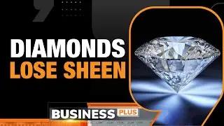 Diamond Industry In India Slumps, Exports Down Over 30% | Business News | News9
