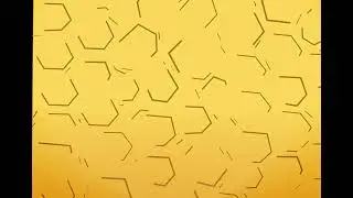 Desert video
