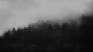 1 Hour Misty Rainy Forest Help De-Sress Before Bed, Sleep Noir #32, Ambient Rain Sounds From Nature