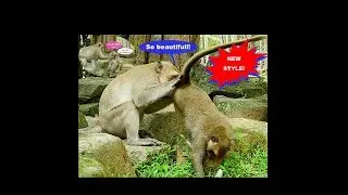 Marshal Skippy warns Dee Dee if she refuses..!!