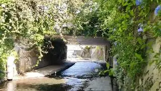 Clean River In Japan