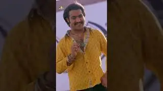 NTR Tiger (Puli ) Dialogue | #Yamadonga | #Shorts | #YoutubeShorts | #Dialogue | #SriBalajiVideo