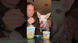 Movie night and giving my dog ice cream😋🍦#dogshorts #movienight #dog #pets #icecream #puppy #vlog