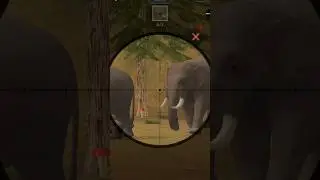 You are stupid bastards: #animalhunter #animals #automobile #game #gaming #gameplay #games #gamer