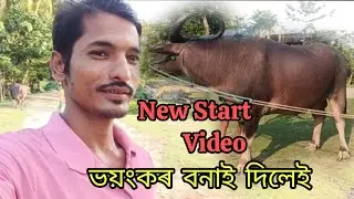 আহি গ'ল চেহেৰা।। খেলা হবে 🥰 mohjuj assam 