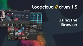 Using the Browser - Loopcloud DRUM 1.5