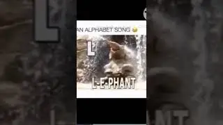 🤣 A for Underwear, B for Vegetable | #Funny #Alphabet #Comedy | #Hasye TV Shorts#