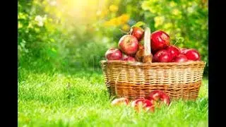 Apple DREAMS, Apollo, New York and Equal Exchange Message from Jesus/Eashoa/Yahushua