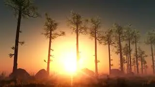 Sunset Transition | Non Copyrighted Video | Animation Background loops video editing overlay HD Free