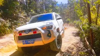 Toyota 4Runner 4.0L V6 vs GWM Tank 400 2.0T v Jeep Wrangler Rubicon 3.6L V6 v BJ40 2.3T: PK Off-road