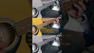 🎛️ CHORUS vs FLANGER vs PHASER - Qual a Diferen&ccedil;a? (HX Stomp)