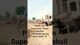 #PSER I am Supervisor Tehsil Monitor CHECKING HH Survey Work VISIT💚 By Enumerator in Blocks Pakistan