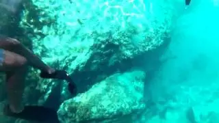 Florida Fresh Water Springs Diving in Ocala, Florida