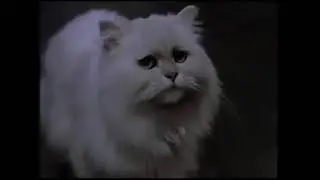 start little - funny hindi dubbing part(१/२) #movie clip