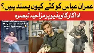 Imran Abbas Love Dogs | Imran Abbas Funny Video | Celebrity News | Tik Tok Video |Bol Entertainment