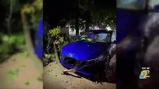 Damage from overnight storms considered minimal, leaves family with costly property damage