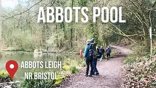 Abbots Pool Woodland Walk | ABBOTS LEIGH | North Somerset