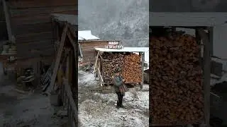 Mago in Winter's #youtubeshorts #mago #tawang #tawangarunachalpradesh #snowfall