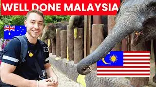 I Visited Malaysia&rsquo;s Best Elephant Sanctuary&hellip; 🐘🇲🇾 (hidden gem!)