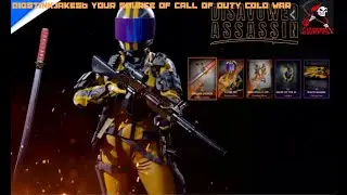 Call of duty cold war Killer bee operator pack
