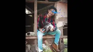 hyper 3d terbaru (A hyper3d) (Koboy kebun)