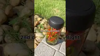 Raahuthu Mirus (Pickled Chillie) #pickledchillie #recipe