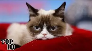 Top 10 Viral Videos On Facebook - Part 3