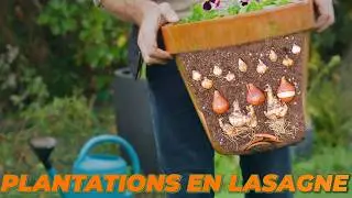 Une astuce pour recycler ses bulbes du printemps !