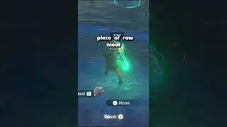 Unbelievable Zelda Hack: Slide Anywhere with THIS! #shorts #zeldatearsofthekingdom