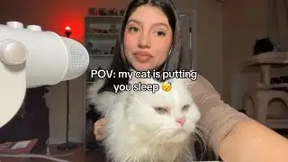 Cat Purring ASMR for Deep Sleep 💤 | Calming, Cozy Sounds