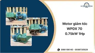 Motor giảm tốc WPDX 70 0.75kW 1Hp - H&agrave; Thanh Motor