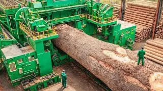 Inside the Largest Wood Sawmill Factory – How Plywood Is Made From Logs to Table (Full Process)