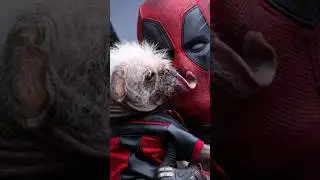 🤩The most famous dogs of Hollywood.