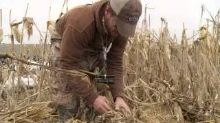 Arkansas Specklebelly Goose Hunting