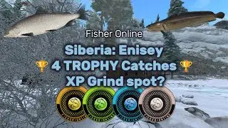 4 Trophy Catches + Best XP Grind Spot? 🔥| Siberia: Enisey 🎣| Fisher Online