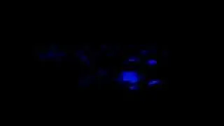 The BEST dance crew of Beringen with Blacklight