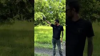 50 Desert Eagle, one hand shot