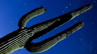 Julian Temple Band - &ldquo;Upsidedownbackwards&rdquo; - Visualiser