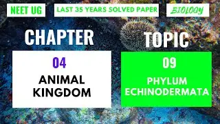 Phylum Echinodermata Class 11 NCERT | Animal Kingdom Neet PYQ | NEET TOPIC WISE