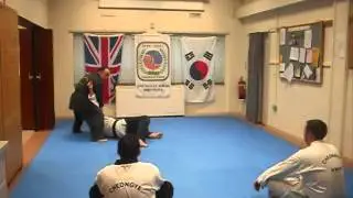 Cheongye Kwan Techniques